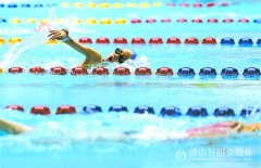 禅城区青少年冬季游泳赛